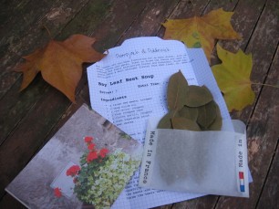 Bay Leaves from the garden come with a recipe (Bay Leaf Soup is divine) and upcycled envelope.