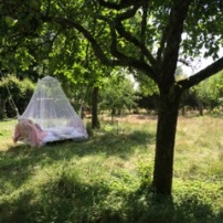 Hanging Bed in the orchard