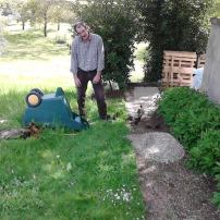 Ducks helping in the garden. Read more about our Gardening Exploits